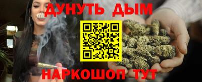 mdpv Новодвинск