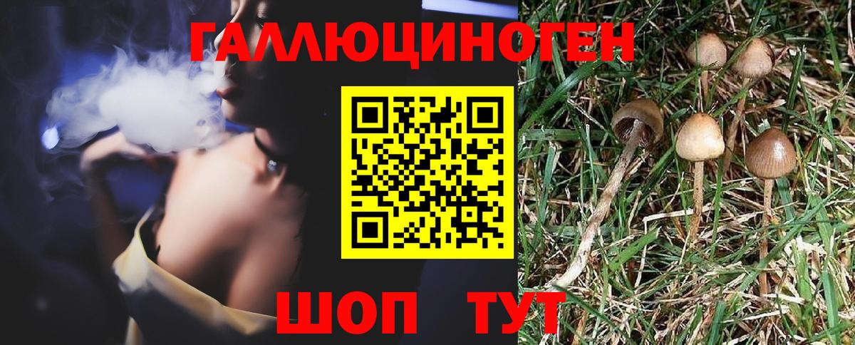 Галлюциногенные грибы прущие грибы Троицк