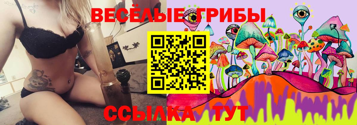 Галлюциногенные грибы Magic Shrooms  Вход с VPN  Троицк  Галлюциногенные грибы Psilocybine cubensis 