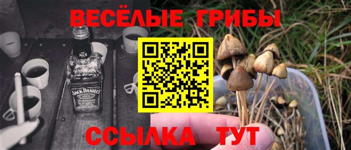 ГАШИШ  Меф МЯУ МЯУ кристаллы  Марихуана  Сколько стоит  Троицк  Вход с VPN  Меф 